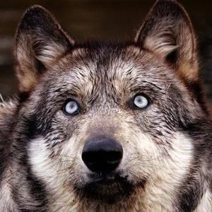 Meet your Posher, Kristopher